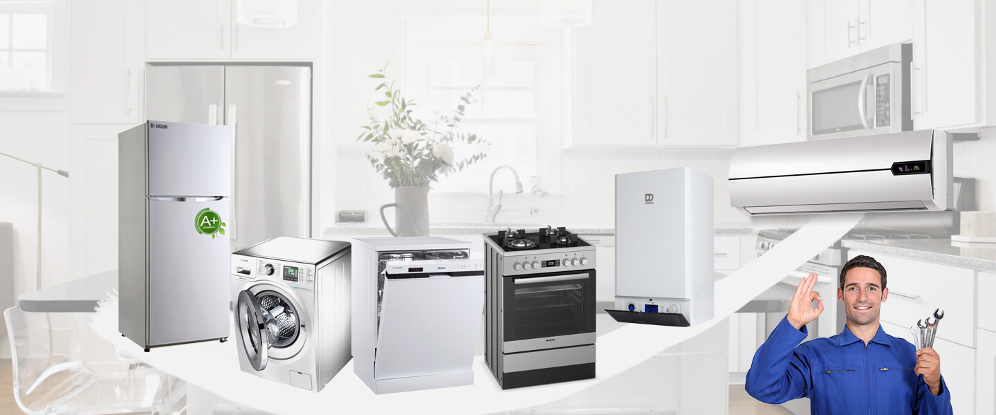Terme Gorenje Servisi